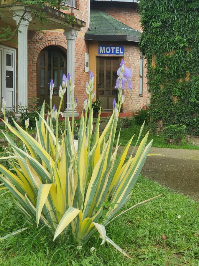Motel Zoka Dvorovi Exterior foto